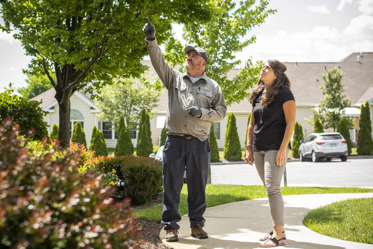 How Often Do You Need Pest Control in Pennsylvania?